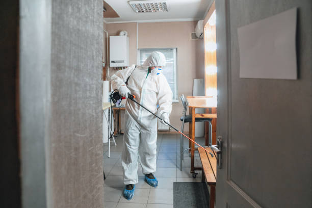 Trusted Falling Water, TN Mold Removal Experts